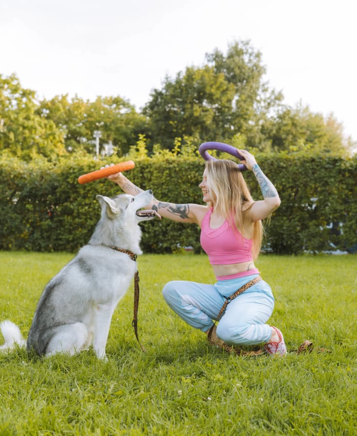 Juegos y Entretenimiento para Perros: Mantén a tu Mejor Amigo Activo y Feliz»